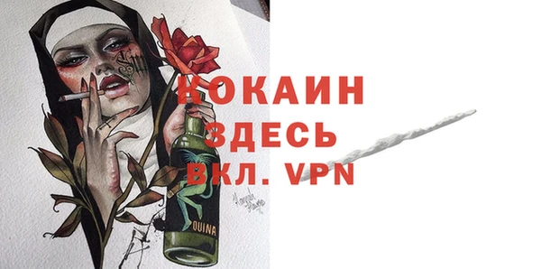 сатива Вяземский