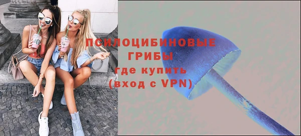 ешки Вязьма