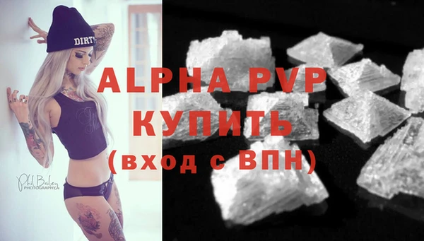сатива Вяземский