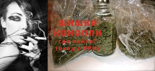 сатива Вяземский