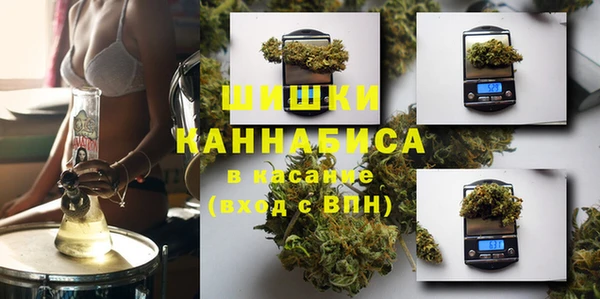 сатива Вяземский