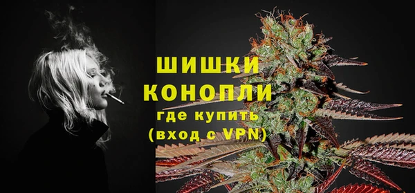 сатива Вяземский