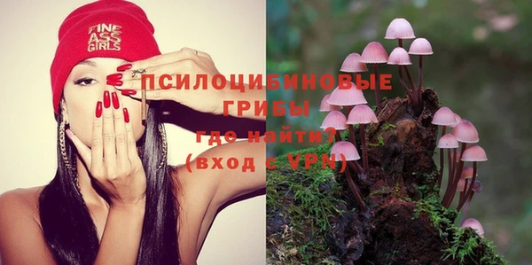 сатива Вяземский