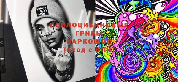 ешки Вязьма