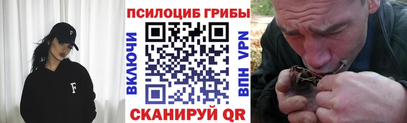 маркетплейс состав  Елизаветинская  Псилоцибиновые грибы MAGIC MUSHROOMS 